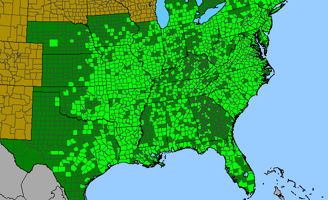 The range of Desmodium paniculatum